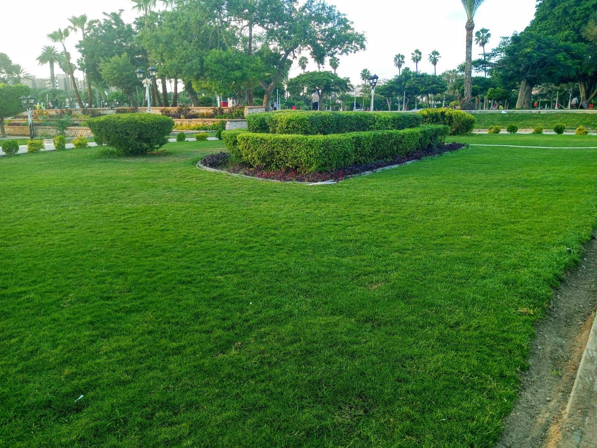 דירות אלכסנדריה Fayrouzat Almndra Near The Sea With Garden View מראה חיצוני תמונה